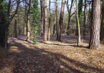 działka na sprzedaż - Konstancin-Jeziorna, Królewska Góra