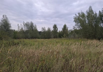 działka na sprzedaż - Warszawa, Wawer, Międzylesie, Borków