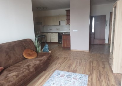 mieszkanie na sprzedaż - Warszawa, Wola, Radziwie