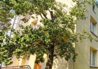 dom na sprzedaż - Warszawa, Mokotów, Stary Mokotów, Racławicka
